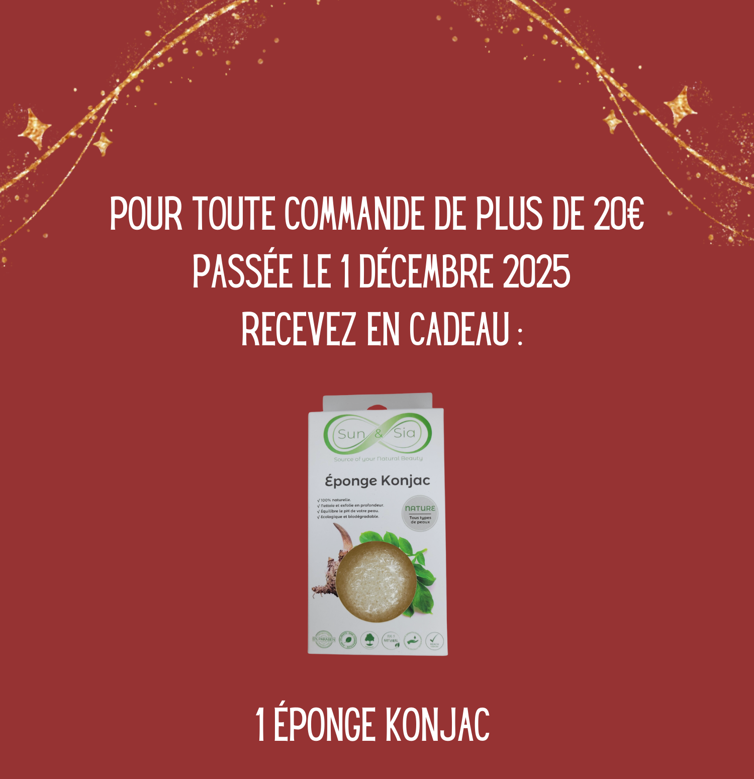 🎁 Case du 1er décembre – Cadeau exclusif !