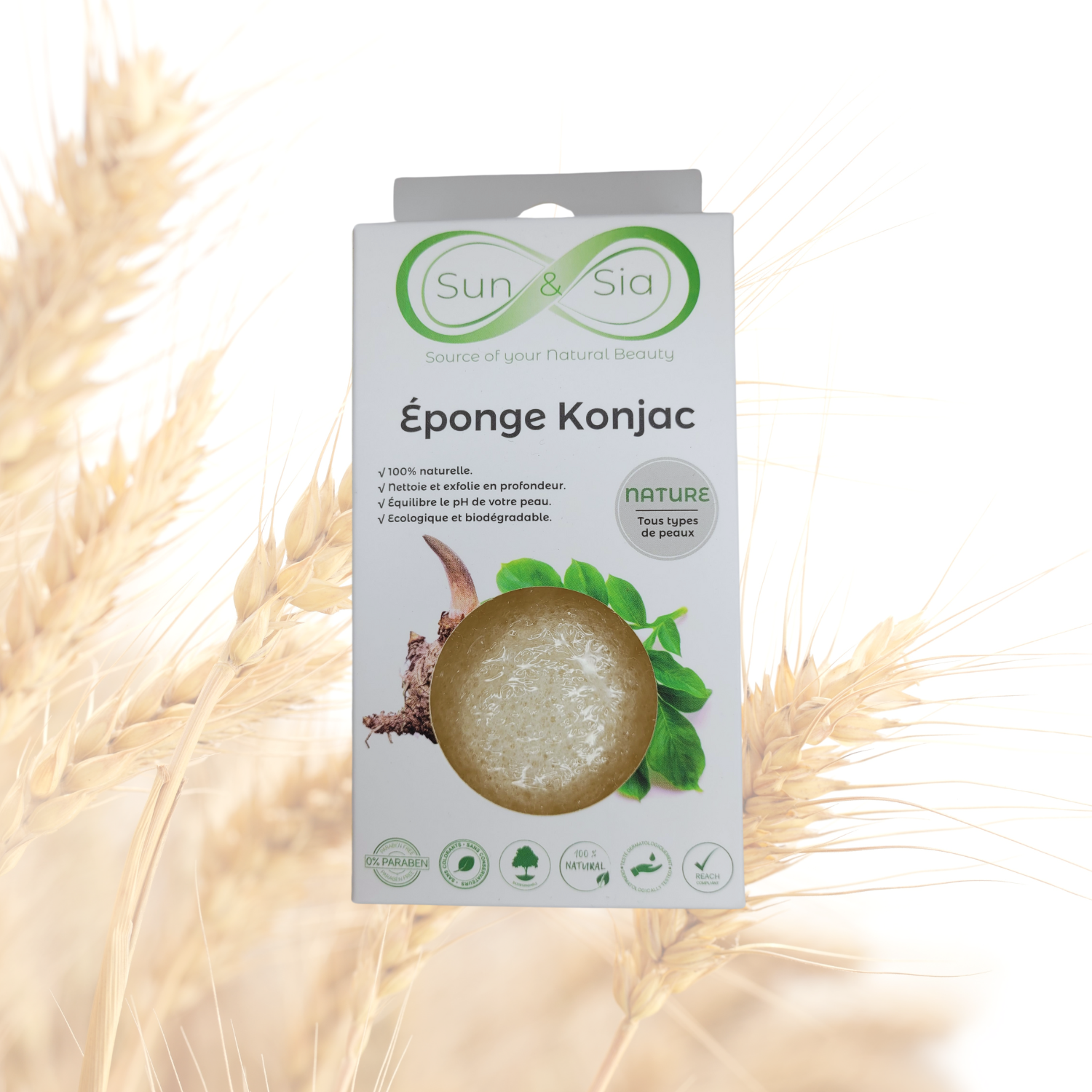 Esponja Konjac Nature - 100% Natural