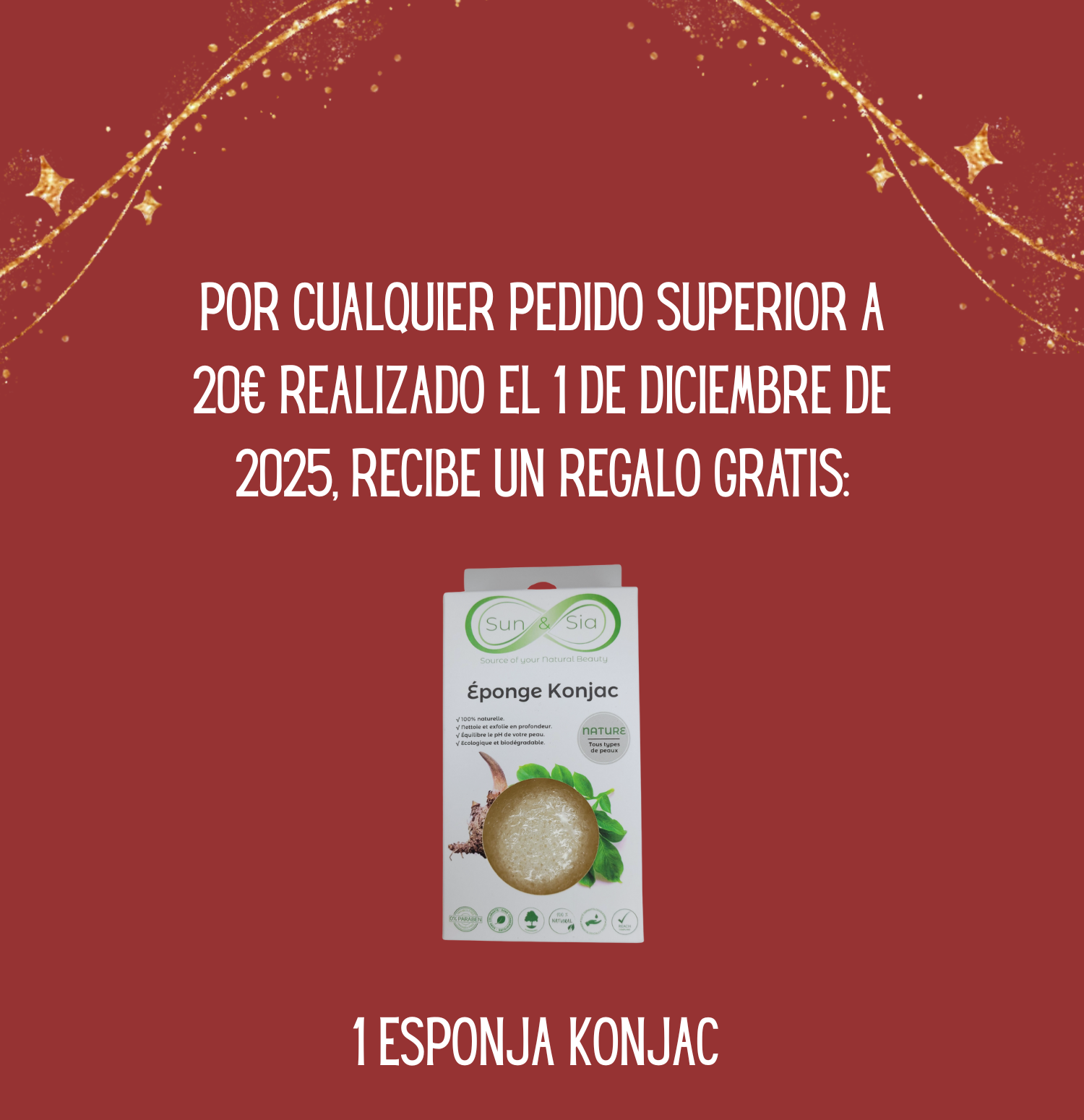 🎁 ¡Casilla del 1 de diciembre – Regalo exclusivo!