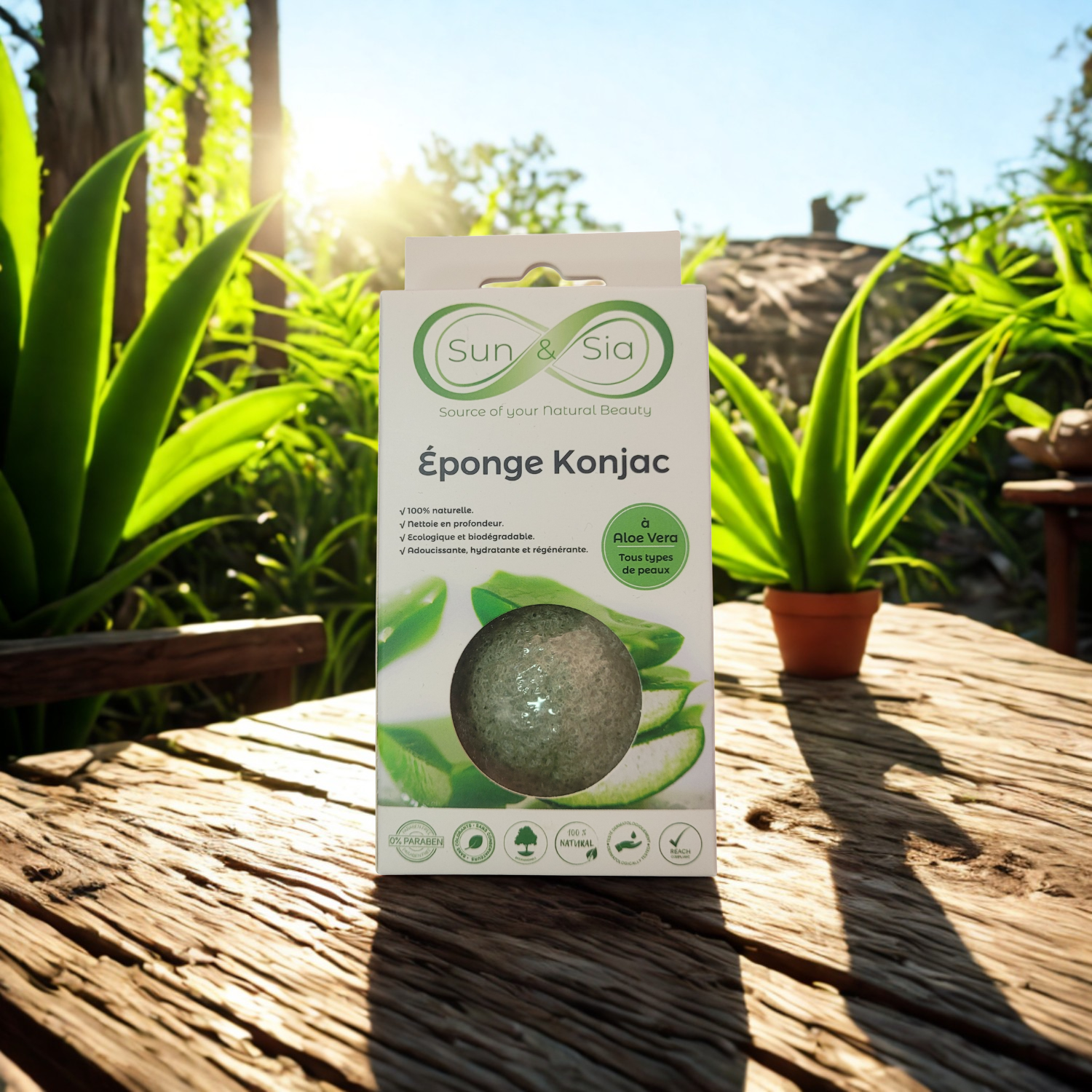 Esponja Konjac Aloe Vera - 100% Natural