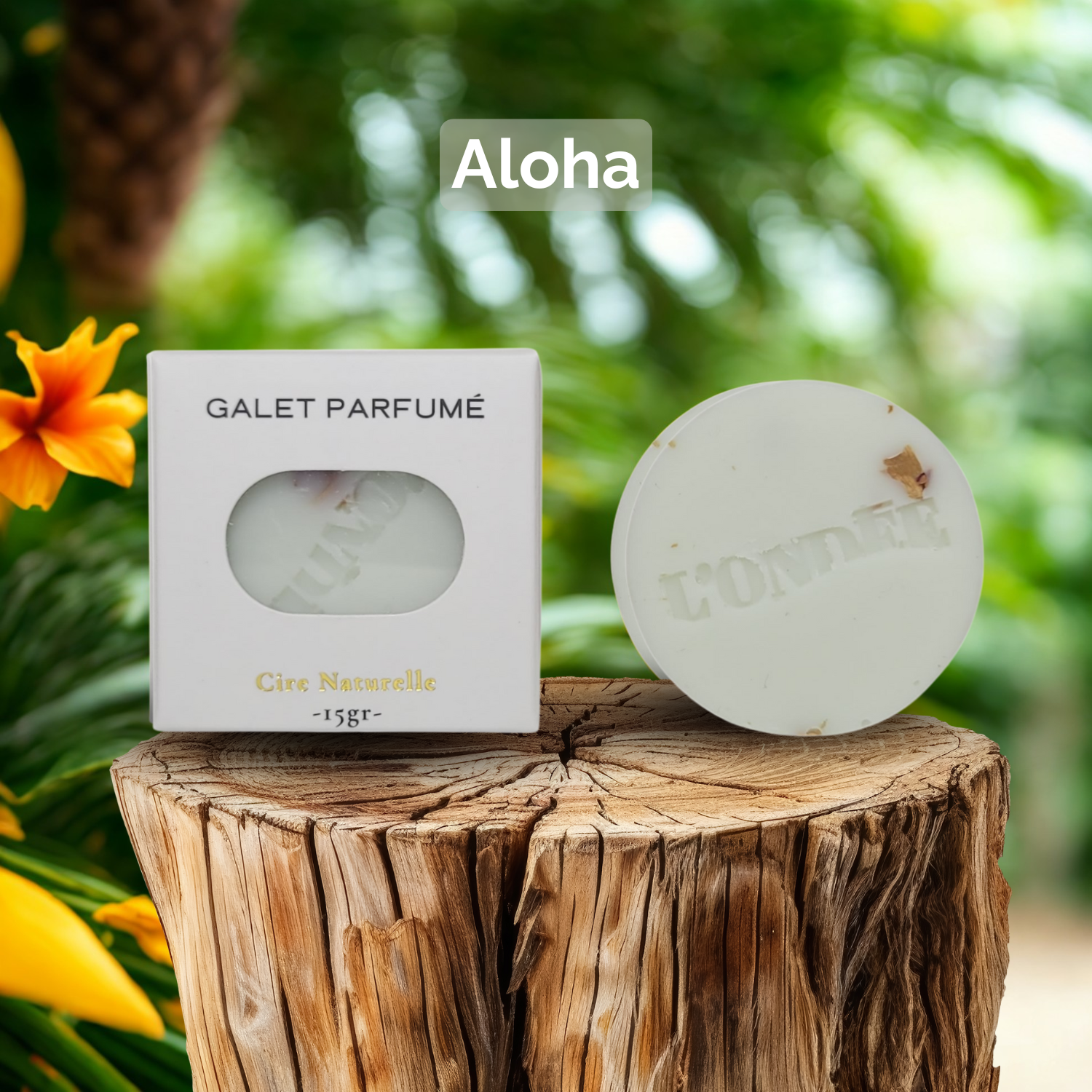 Fondant Cire de Soja Aloha