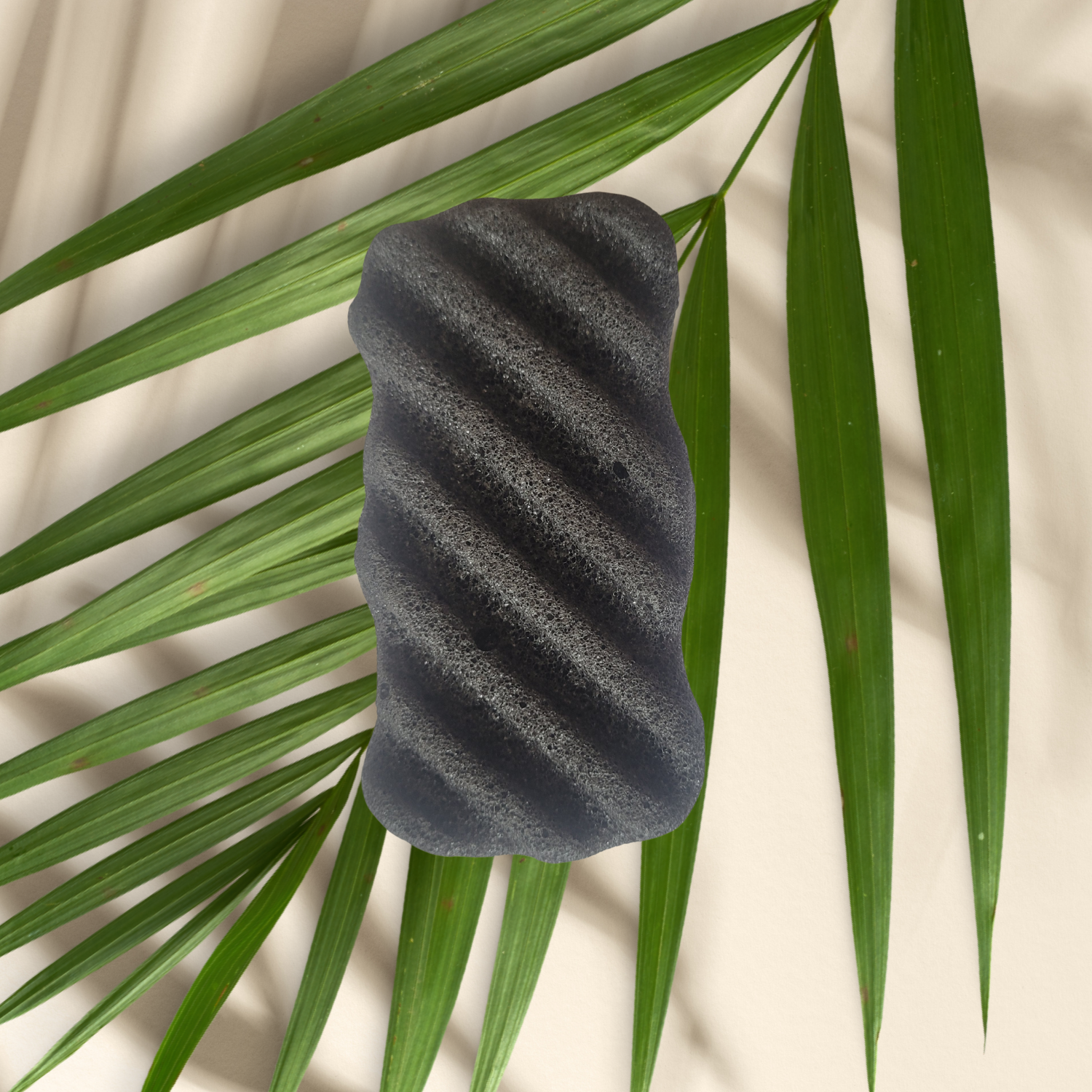 Esponja corporal Konjac con carbón de bambú